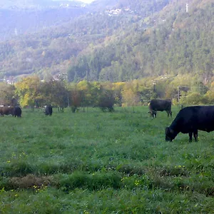 Biobio Bauernhof